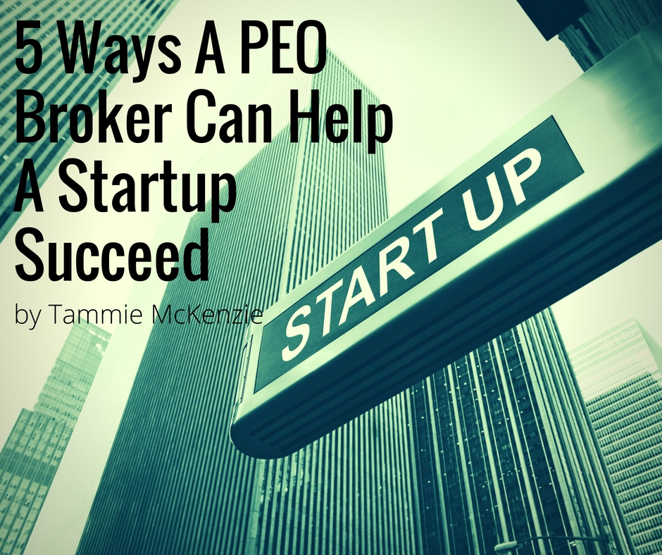 5 Ways A PEO Broker Can Help A Startup Succeed | by Tammie McKenzie