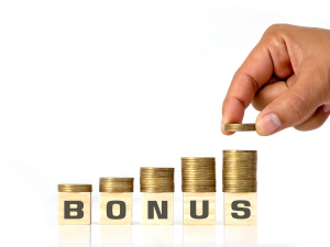 What Makes a Successful Bonus Program?