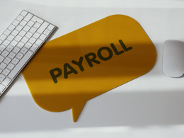 New Businesses and Payroll